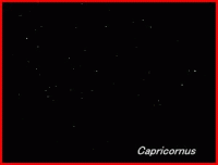 Photograph showing the constellation of Capricornus, the Sea Goat. Click for a full-size photo, 49 KB (Copyright Martin J Powell, 2005)