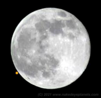 Simulation showing Mars about to disappear behind the Moon's Eastern limb during the lunar occultation of December 7th-8th 2022 (Image: Copyright Martin J Powell 2021)