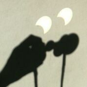 Projecting the Sun's image using a pair of binoculars. Click for larger version, 4 KB (Image: Nils lmedal)