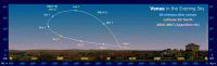 Path of Venus in the evening sky during 2024-25, seen from latitude 35� North. Click for full-size image (Copyright Martin J Powell 2016)