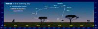 The Path of Venus in the Evening Sky (30 mins after sunset) for an observer at the Equator during Apparition C1 (e.g. 2003/2004, 2011/2012 and 2019/2020). Click for full-size image, 127 KB (Copyright Martin J Powell, 2010)