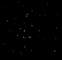 The Praesepe star cluster (M44) in Cancer. Click for larger image, 7 KB (Photo: Copyright Martin J Powell, 2005)
