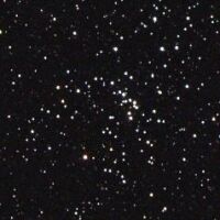 The open star cluster M48 in Hydra. Click for larger version, 12 KB (Image: Ole Nielsen/Wikimedia Commons)