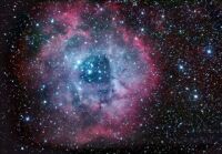 The Rosette Nebula (NGC 2237) imaged by John Lanoue. Click for larger version, 25 KB.